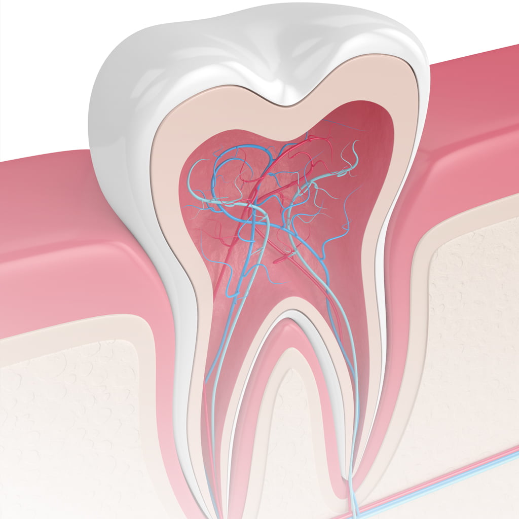 Treatment - York dental